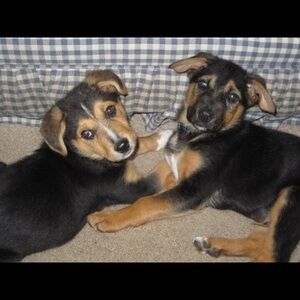 Meet Your Posher Christine ❤️